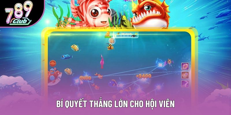 Bí quyết thắng lớn cho hội viên