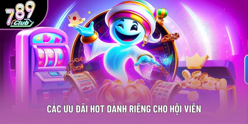 Các ưu đãi hot dành riêng cho hội viên